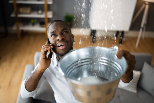 Best Flood restoration services  in Lagunitas Forest Knolls, CA