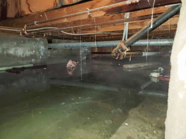 Best Water damage restoration near me  in Lagunitas Forest Knolls, CA