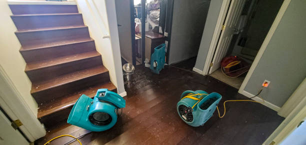 Best 24/7 water damage repair  in Lagunitas Forest Knolls, CA