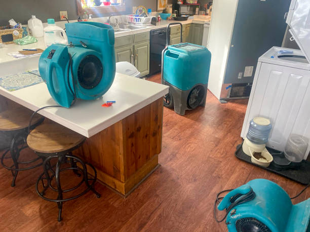 Best Sewage cleanup and water damage restoration  in Lagunitas Forest Knolls, CA