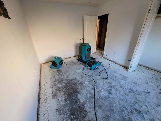 Best Ceiling water damage repair  in Lagunitas Forest Knolls, CA