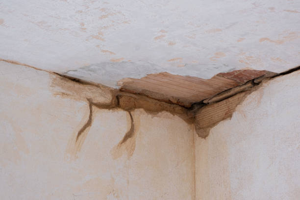 Best Residential water damage restoration  in Lagunitas Forest Knolls, CA