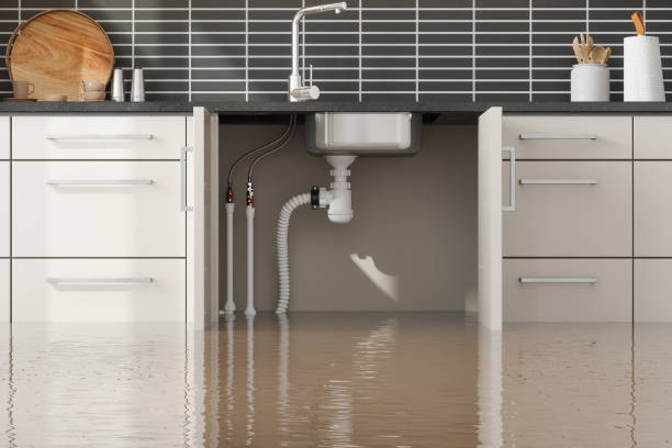 Best Water damage restoration near me  in Lagunitas Forest Knolls, CA
