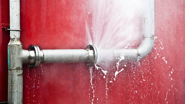 Best Basement water damage restoration  in Lagunitas Forest Knolls, CA