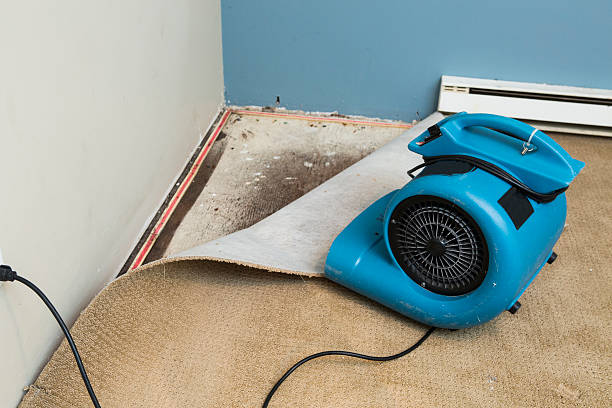 Best Commercial water damage restoration  in Lagunitas Forest Knolls, CA